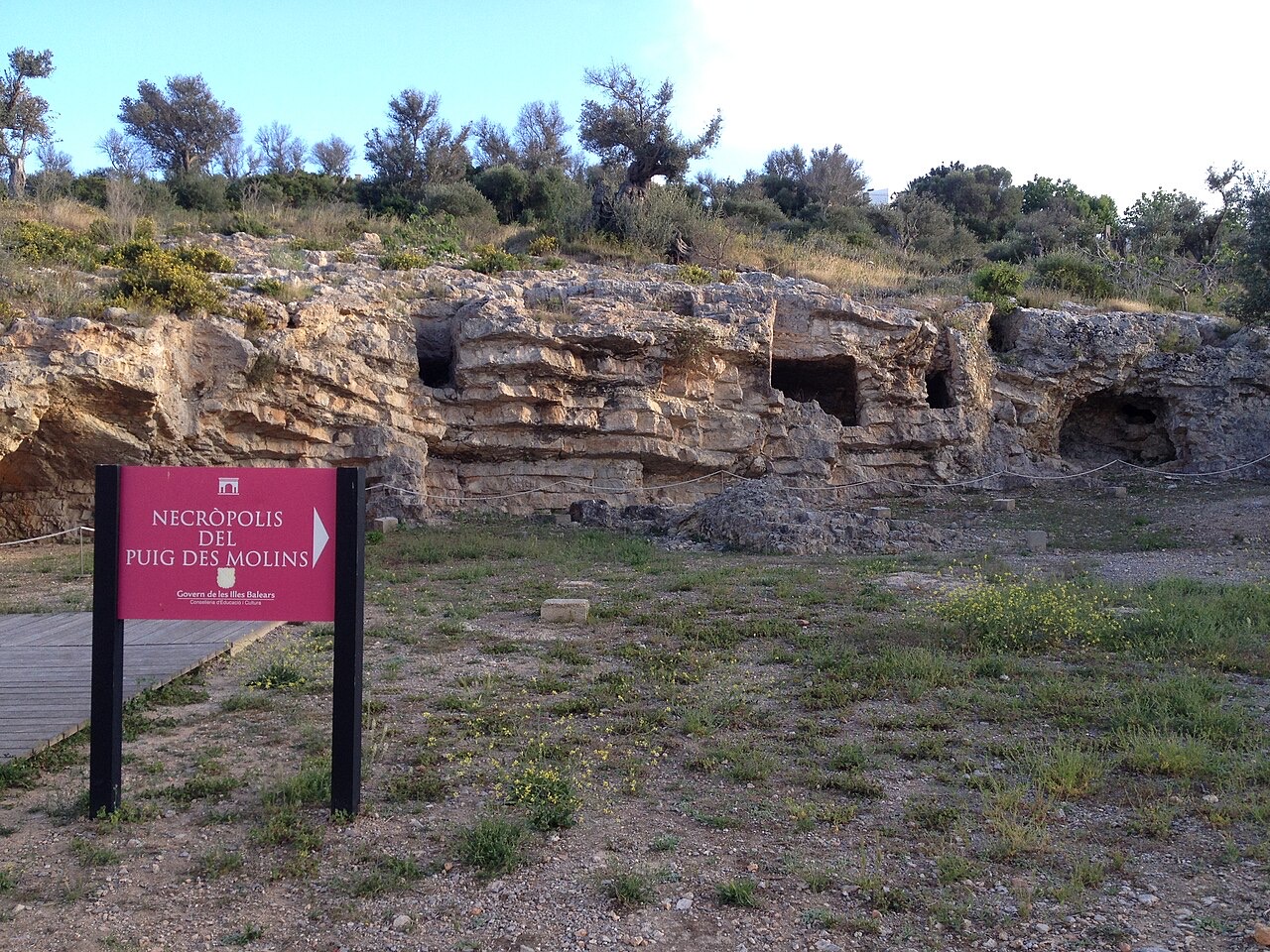 Necròpolis del Puig des Molins