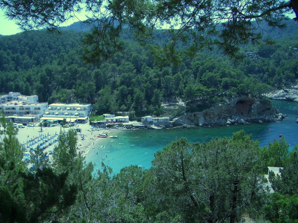 Port de Sant Miquel