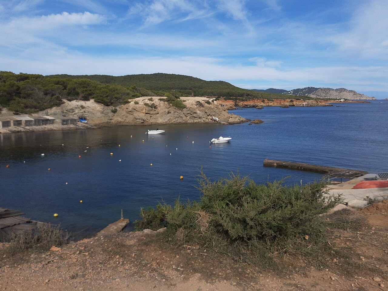 Pou des Lleó